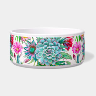 Succulents tropical garden
