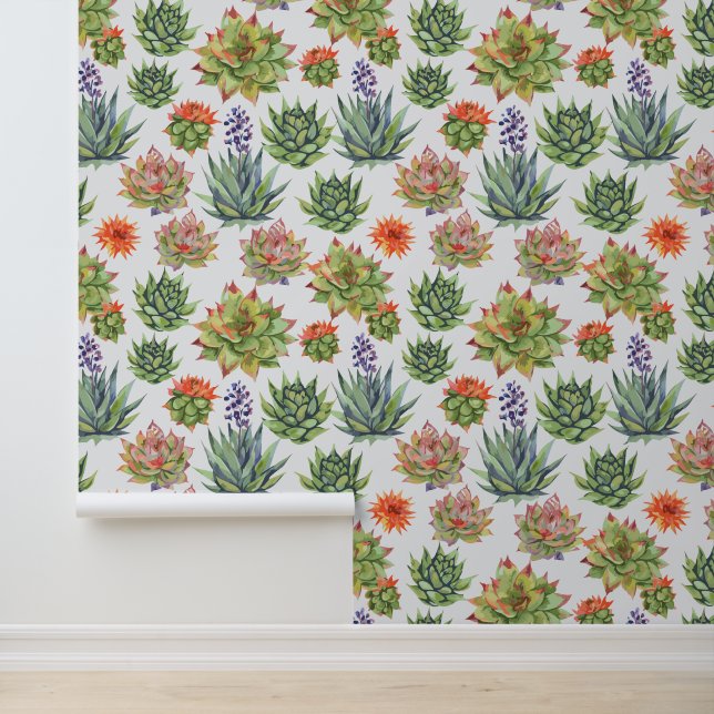 Succulents Wallpaper (Application)