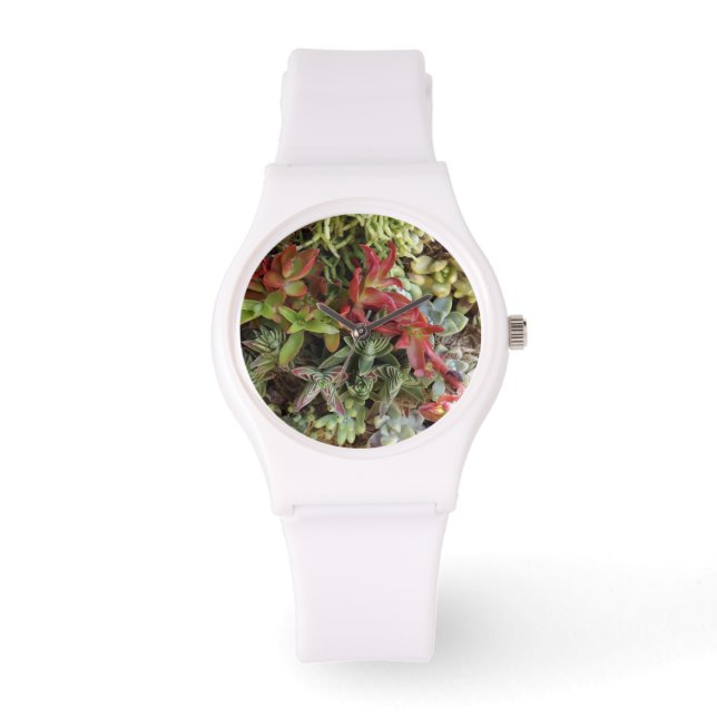 Succulents Watch (Front)
