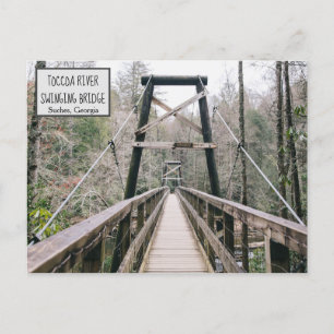 Suches, Georgia Weirdly Wonderful GA Toccoa Postcard