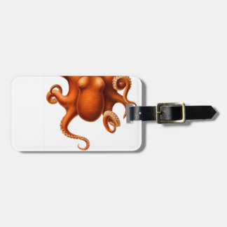 Suckers and See Luggage Tag