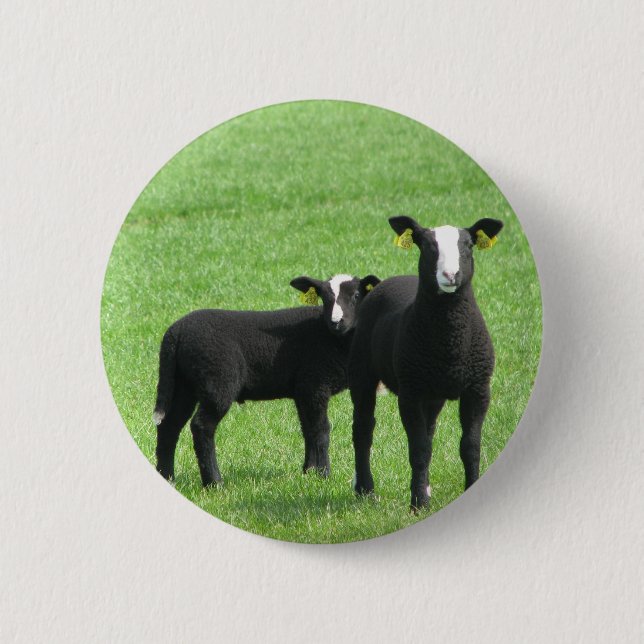 Sucking lambs 6 cm round badge (Front)