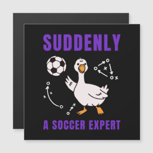 Suddenly a soccer expert