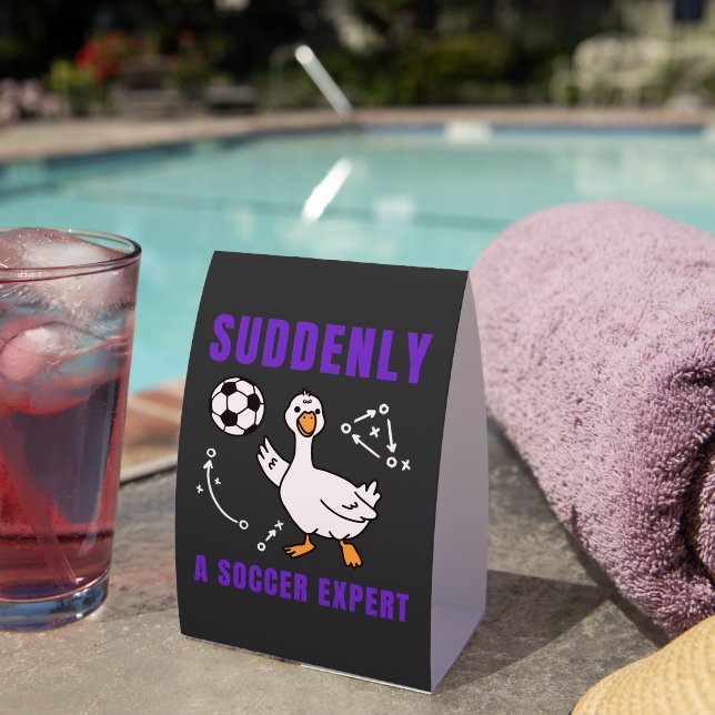 Suddenly a soccer expert (Insitu(On Table))