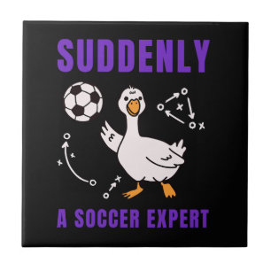 Suddenly a soccer expert ceramic tile