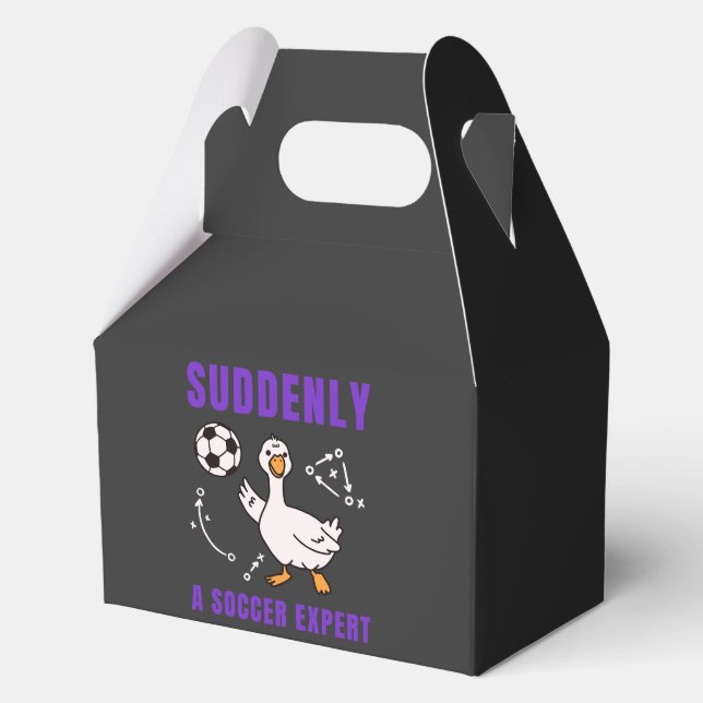 Suddenly a soccer expert favour box (Front)