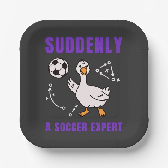 Suddenly a soccer expert paper plate (Front)