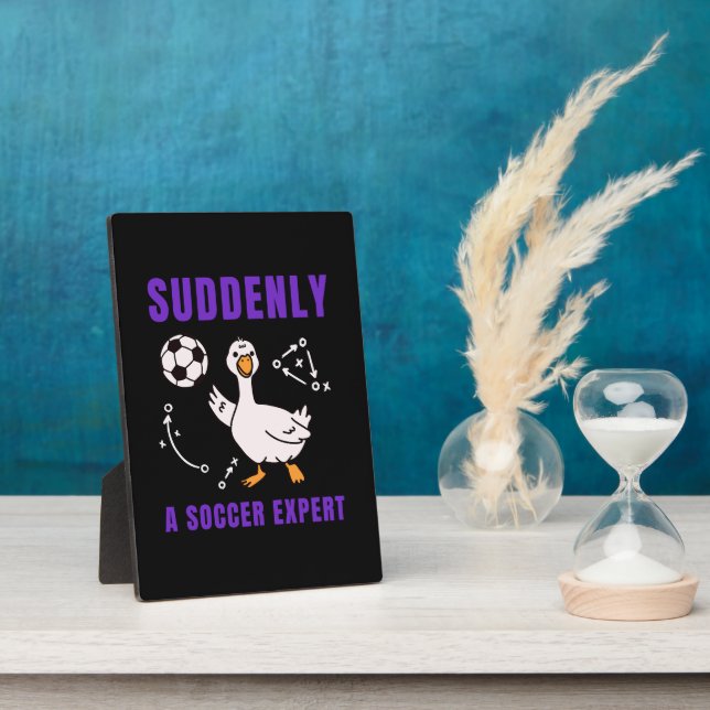 Suddenly a soccer expert plaque (Side)