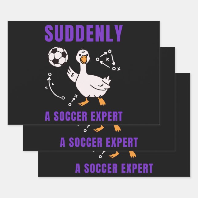 Suddenly a soccer expert wrapping paper sheet (Set)