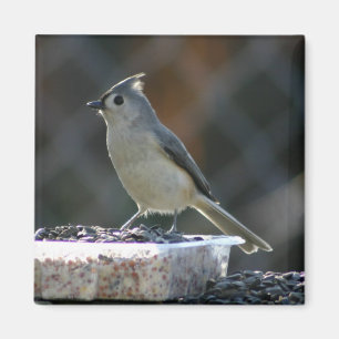Suet Supper Magnet