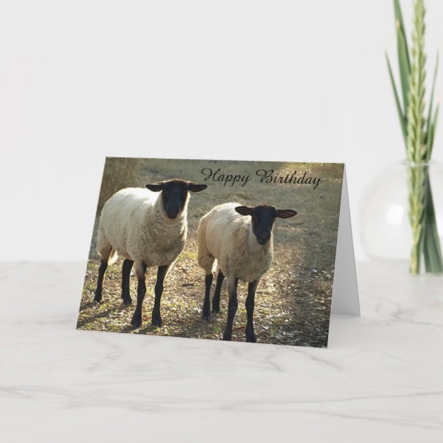 Suffolk Sheep Happy Birthday From Us to Ewe! Card (Front)