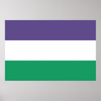 Suffragette Flag