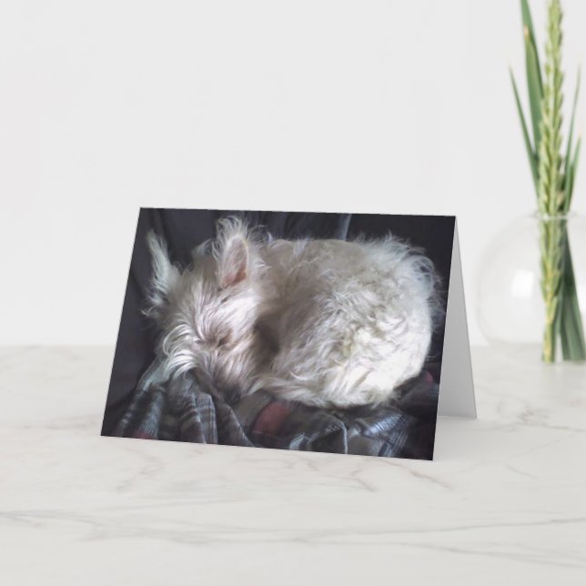 Sugar Bear Sleeping Greeting Card (Front)