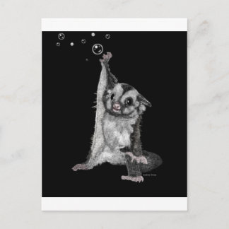 Sugar Glider Bubbles Postcard