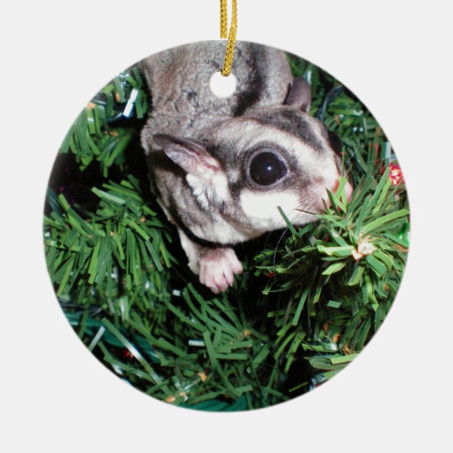 sugar glider Christmas Ceramic Ornament (Front)