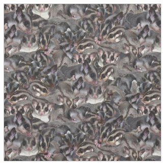 Sugar Glider Collage. Fabric