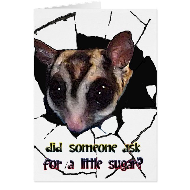 Sugar Glider Did Someone Ask for a Little Sugar (Front)