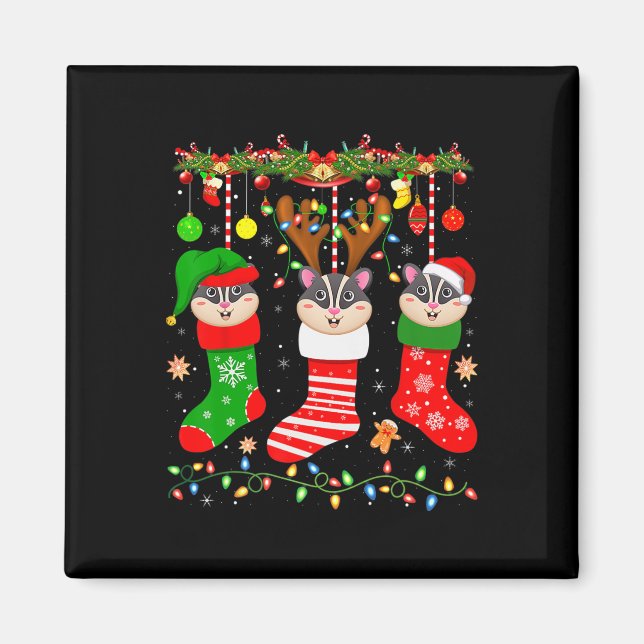 Sugar glider in christmas socks lights sugar glide magnet (Front)