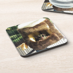 Sugar Glider in Furry Tree Truck Hanging Bed Coaster