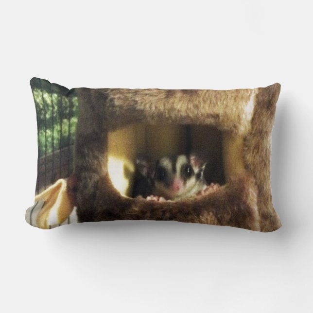 Sugar Glider in Furry Tree Truck Hanging Bed Lumbar Cushion (Front)