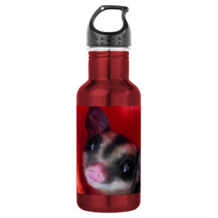 Sugar Glider in Orange Hanging Bed 532 Ml Water Bottle