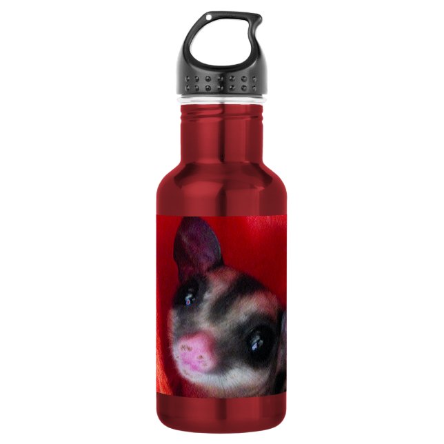 Sugar Glider in Orange Hanging Bed 532 Ml Water Bottle (Front)