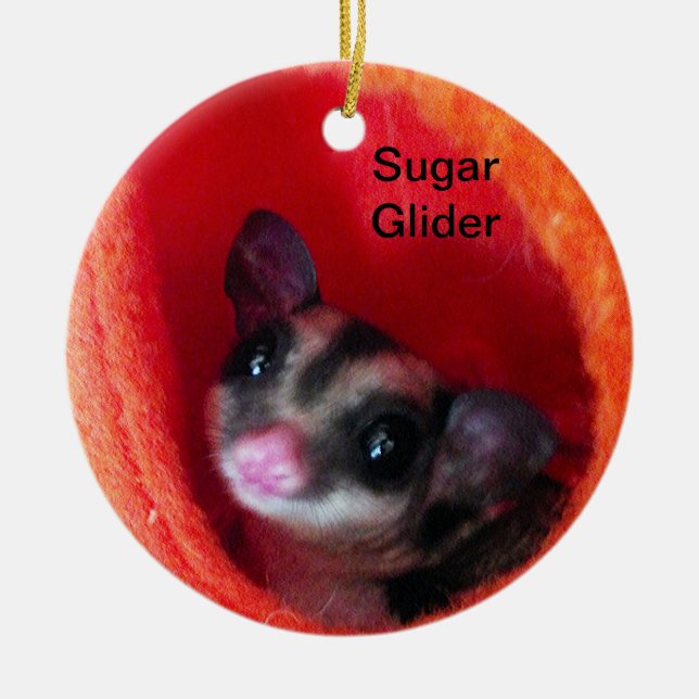 Sugar Glider in Orange Hanging Bed Ceramic Ornament (Front)