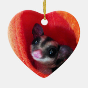 Sugar Glider in Orange Hanging Bed Ceramic Tree Decoration
