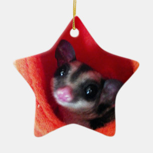 Sugar Glider in Orange Hanging Bed Ceramic Tree Decoration