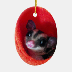 Sugar Glider in Orange Hanging Bed Ceramic Tree Decoration
