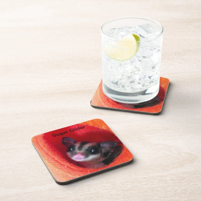 Sugar Glider in Orange Hanging Bed Coaster (Right Side)