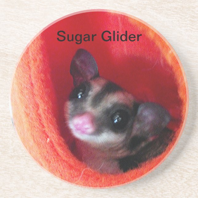 Sugar Glider in Orange Hanging Bed Coaster (Front)