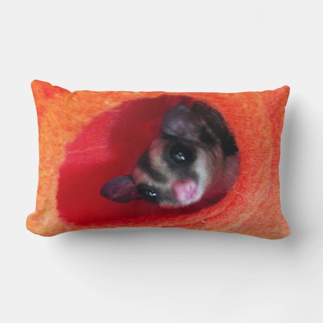 Sugar Glider in Orange Hanging Bed Lumbar Cushion (Front)