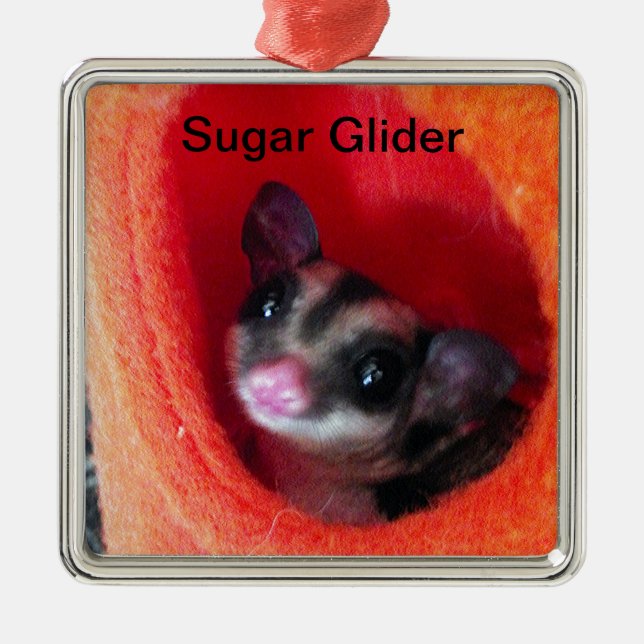 Sugar Glider in Orange Hanging Bed Metal Tree Decoration (Front)