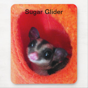 Sugar Glider in Orange Hanging Bed Mouse Pad