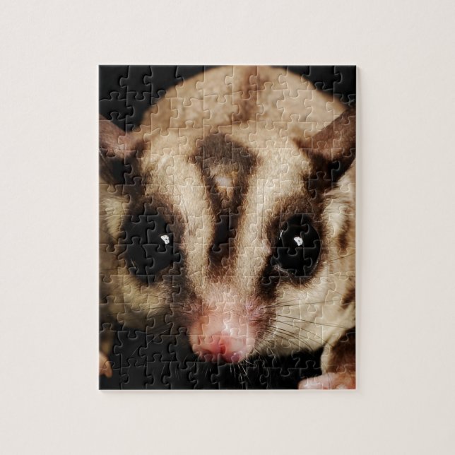 Sugar Glider Jigsaw Puzzle (Vertical)
