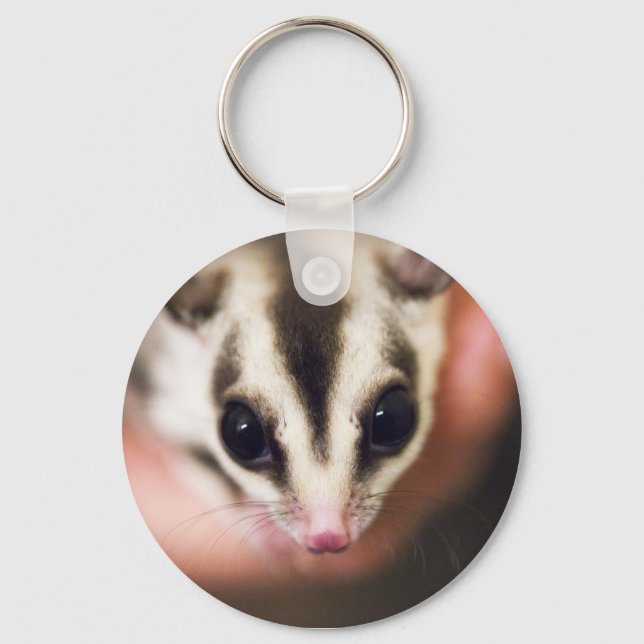 Sugar Glider keychain (Front)