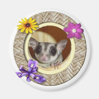 Sugar Glider Magnet