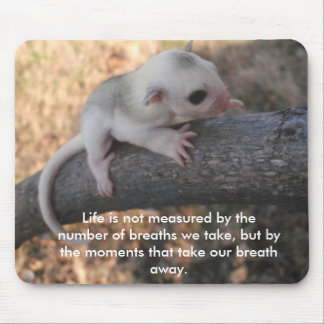 Sugar glider mousepad