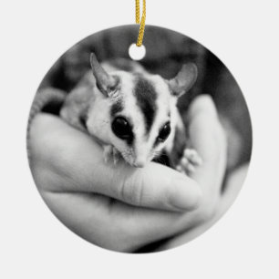 Sugar Glider ornament
