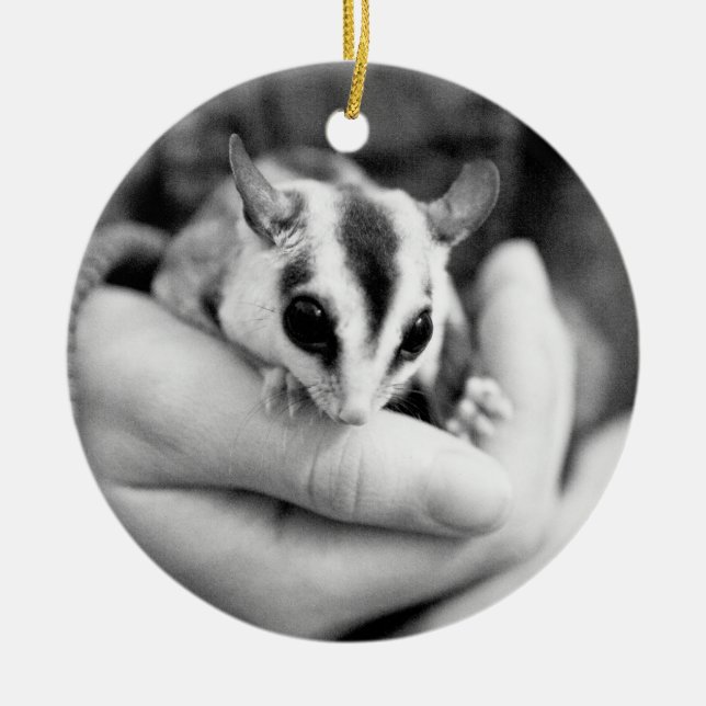 Sugar Glider ornament (Front)
