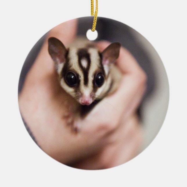 Sugar Glider ornament (Front)