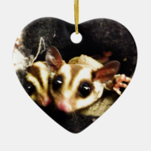 sugar glider photo design ceramic ornament
