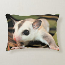 Sugar Glider Pillow