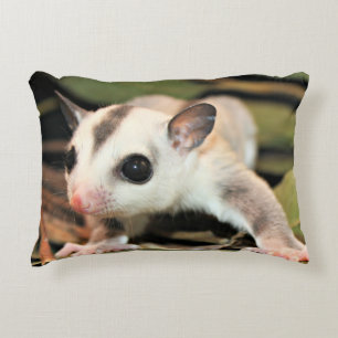 Sugar Glider Pillow