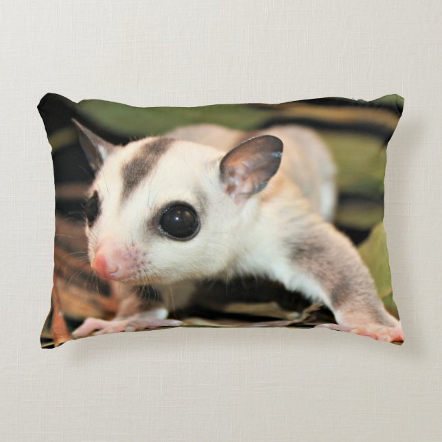 Sugar Glider Pillow (Front)