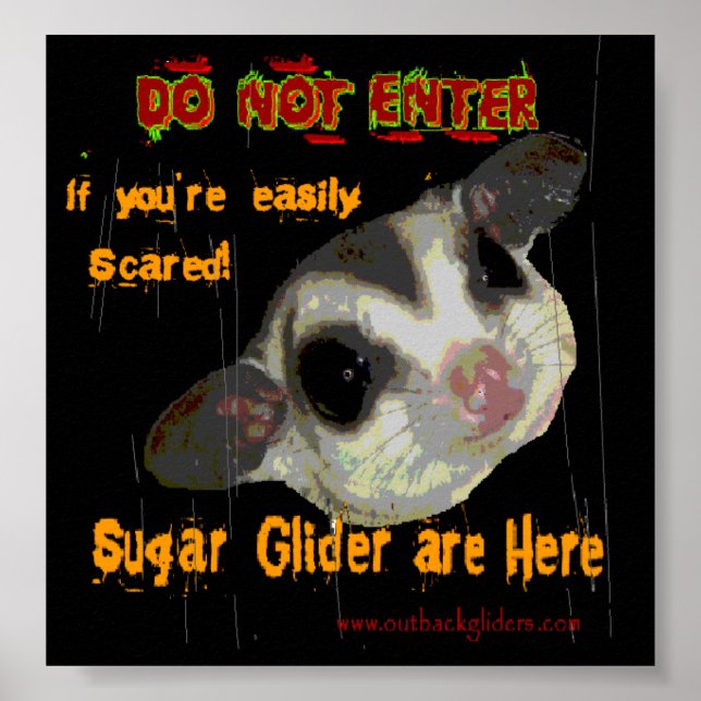 Sugar Glider Poster (Front)