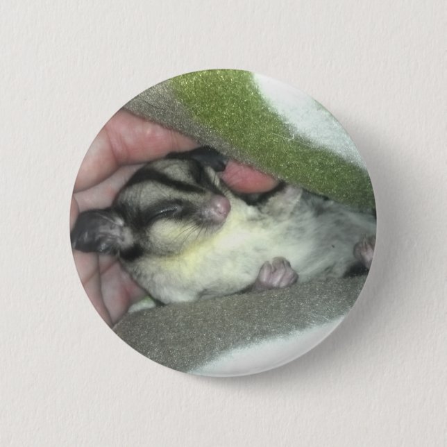 Sugar Glider Sleeping in Blanket 6 Cm Round Badge (Front)