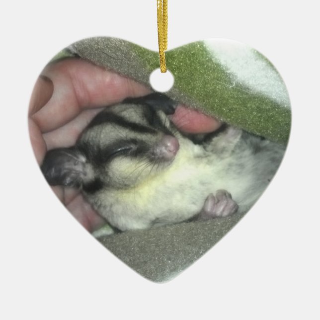 Sugar Glider Sleeping in Blanket Ceramic Ornament (Front)