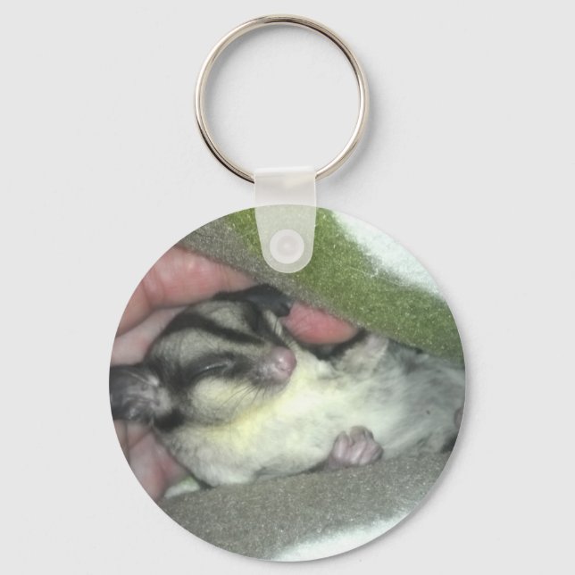 Sugar Glider Sleeping in Blanket Key Ring (Front)